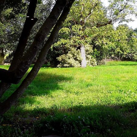 Noyal-MuzillacDomaine De La Tranquillite V别墅 外观 照片
